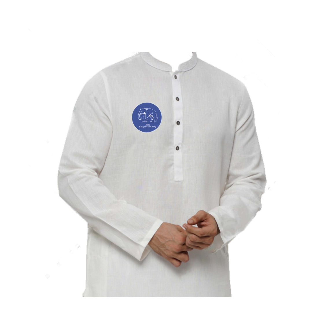 Bahujan Samaj Party (BSP)