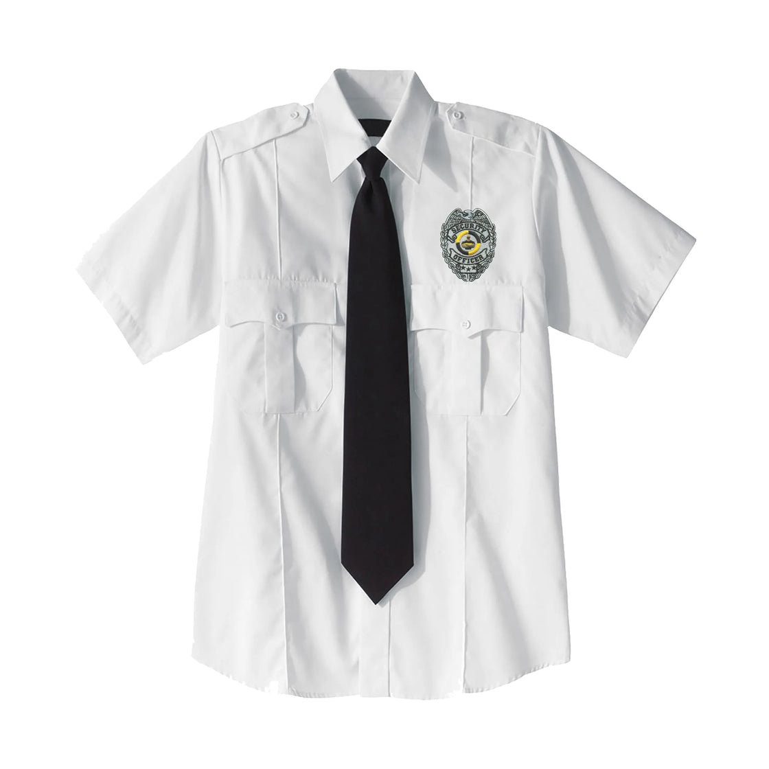 AE09-1013 Security Officer